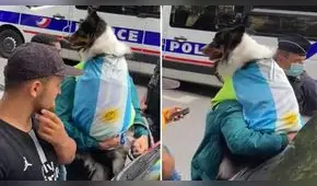 Perrito porta bandera argentina en recibimiento de Lionel Messi al PSG