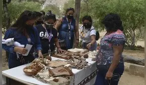Lambayeque: Más de 500 personas visitaron el Museo Túcume tras inicio de actividades por aniversario