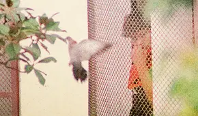 El ojo atento del gran Jhony Laurente