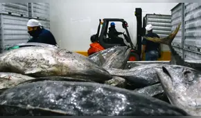 Barcos extranjeros dejan de pagar más de US$ 50 millones por nuestro atún