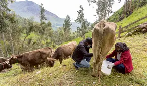 Midagri anunció instalación de plantas lecheras para potenciar a los pequeños ganaderos