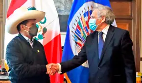 Secretario general de la OEA se reunirá con Pedro Castillo a fines de noviembre