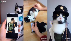 Mujer caracteriza a su gato como un personaje del anime JoJo’s bizarre adventure