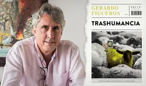 La explosión de la metáfora en Trashumancia, el libro rebelde de Gerardo Figueroa