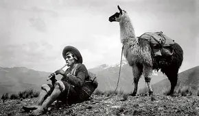 La abogada y el festival