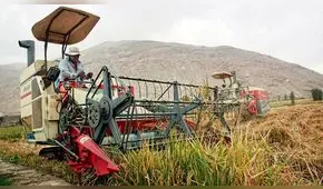 Banca de fomento se enfocaría en el 91% de agricultores sin créditos