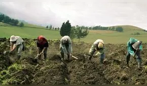 Conveagro denuncia supuesto copamiento de Agrobanco con “personal con poca experiencia”