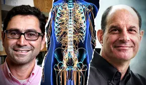 El “revolucionario” descubrimiento de los ganadores del Premio Nobel de Medicina 2021