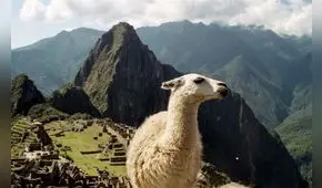 Cusco recupera 644 millones de dólares gracias al turismo solo en el tercer trimestre