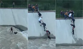 Jóvenes unen esfuerzos y forman cadena humana para salvar a perrito que cayó a canal