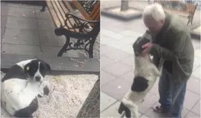 Abuelito se reencuentra en una calle con su perro desaparecido luego de tres años