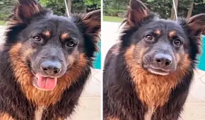 Perro se pone nervioso al creer que se lo iban a comer, pero todo era broma de su dueño