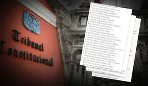 Publican las carpetas íntegras de los 78 postulantes para el TC