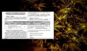 Ordenanza que multa consumo de cannabis en San Miguel es inconstitucional, advierten especialistas Ordenanza que multa consumo de cannabis en San Miguel es inconstitucional, advierten especialistas