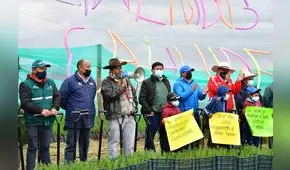 La Libertad: sembrarán 1,8 millones de pinos en comunidad campesina