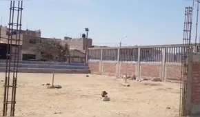 Chiclayo: moradores exigen culminación de obra donde Contraloría advirtió uso de cemento vencido