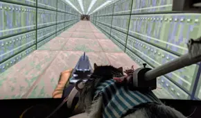 Ratas de laboratorio logran superar un nivel de Doom II durante experimento