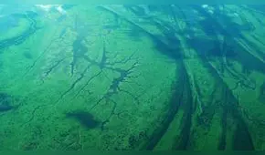 Financiamiento con transparencia y participación