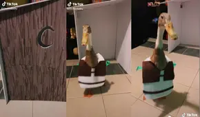 Patito es disfrazado por su dueño como Shrek y resultado se viraliza en redes