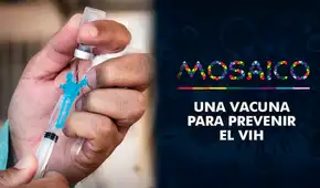 La otra pandemia: el camino hacia la búsqueda de la vacuna preventiva contra el VIH La otra pandemia: el camino hacia la búsqueda de la vacuna preventiva contra el VIH