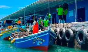 Potenciarán exportación de conchas de abanico en Piura 