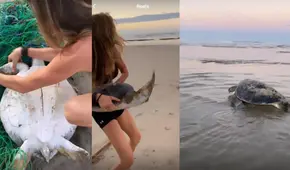 Gisele Bündchen salvó a una tortuga de morir atrapada en una red de pesca 