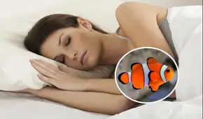 ¿Qué significa soñar con peces y pescados? Descubre su significado especial