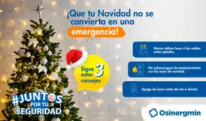 ¿Qué debe tener en cuenta para pasar una Navidad segura en casa?