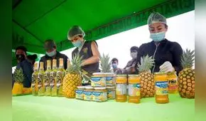 Cusco: capacitan a agricultores de piña en producción de varios derivados  