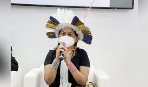 Defensores y defensoras ambientales: necesidad de acciones articuladas y efectivas para su protección