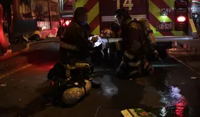 Incendio en Mesa Redonda: bomberos piden la ayuda de veterinarios para atender a animales quemados