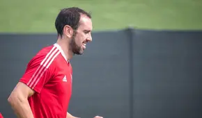 ¡Regresa a Sudamérica! Diego Godín fichó por equipo del Brasileirao