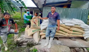 Distribuyen 2.700 sacos de fertilizantes a agricultores de Puno, Madre de Dios y Cusco