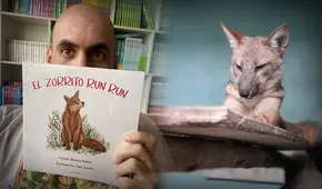 Run Run, el zorro andino vendido como mascota que inspiró un cuento sobre el tráfico de animales