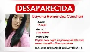 San Juan de Lurigancho: adolescente de 17 años desaparece tras acudir a entrevista de trabajo