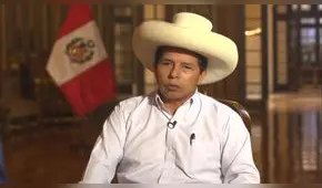 Pedro Castillo: Presidente apela en recurso contra fiscal Norah Córdova