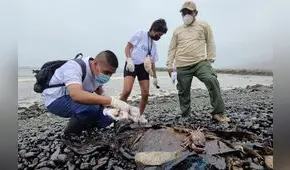Derrame de ausencias: del desastre ambiental al desastre institucional