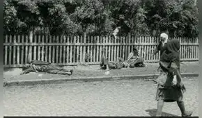 Holodomor, la cruel hambruna que mató a millones de ucranianos en la URSS Holodomor, la cruel hambruna que mató a millones de ucranianos en la URSS