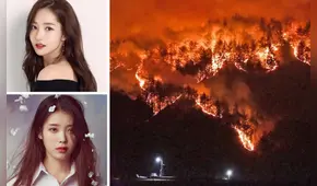 Artistas de Corea del Sur envían donaciones para víctimas del incendio de Gangwon
