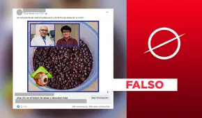 No, especialistas peruanos no forman parte de proyecto para “restaurar la visión”