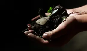 ¿Cómo hacer compost casero para las plantas o el jardín?