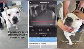 Lo iban a sacrificar tras lastimarse la patita, pero lo adoptaron y ahora es un héroe