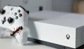 Pareja abre su Xbox One y descubre el nido de las hormigas que habían invadido su casa