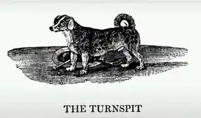 Turnspit, la historia de una raza de perro que se extinguió por culpa de la acción humana Turnspit, la historia de una raza de perro que se extinguió por culpa de la acción humana
