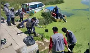 Puno: más de 7 toneladas de desechos fueron recogidos de la bahía del lago Titicaca