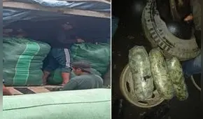 Cusco: Policía incauta más de una tonelada y media de hoja de coca 