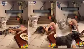 Perrito ‘finge’ jugar con su dueña en el piso para llevarse su presa de pollo Perrito ‘finge’ jugar con su dueña en el piso para llevarse su presa de pollo