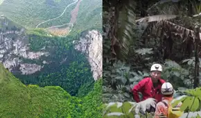 Científicos entran al bosque prehistórico hallado dentro de un gigantesco hoyo Científicos entran al bosque prehistórico hallado dentro de un gigantesco hoyo