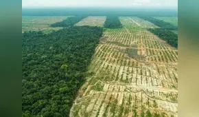 MIDAGRI aprobó reglamento que permitirá una adecuada clasificación de tierras para reducir la deforestación causada por la agricultura