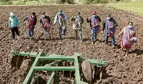 Midagri adelanta que habrá caída de hectáreas sembradas  